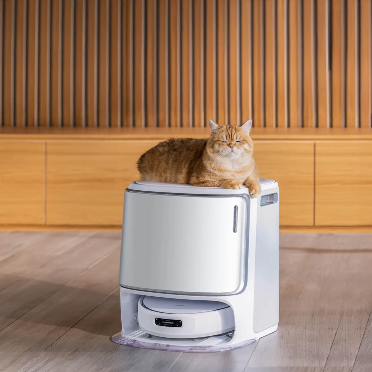 Robomate Support Cat